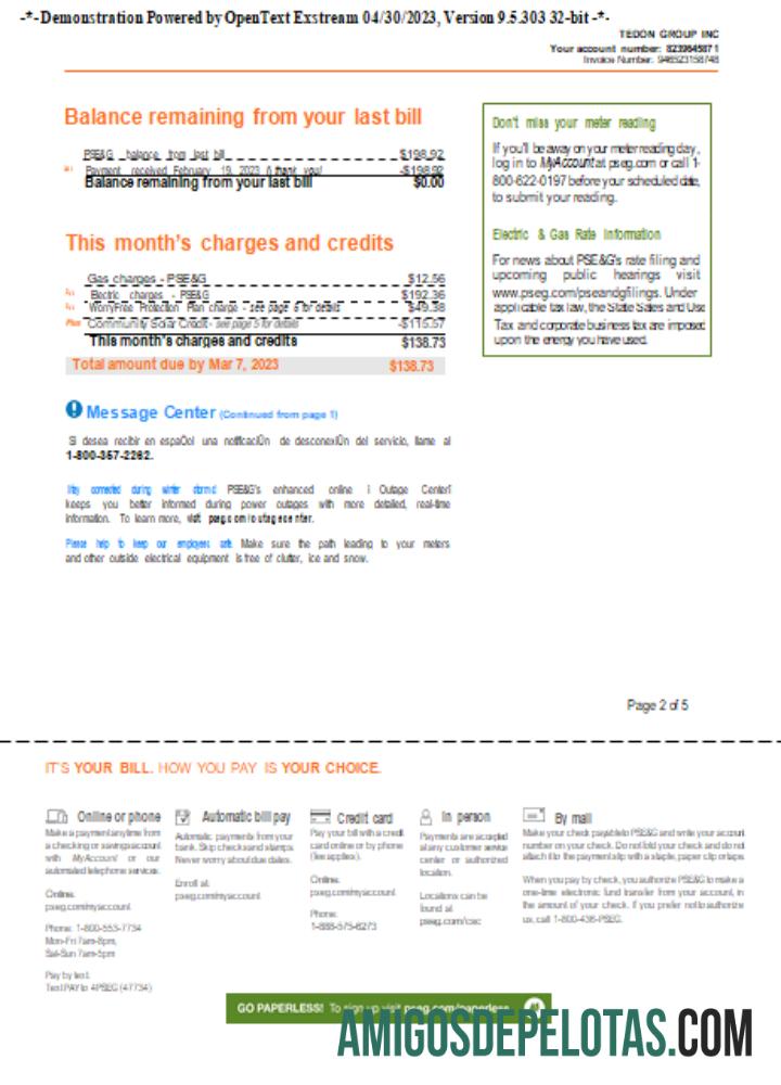 Projeto de lei de serviços públicos PSEG de Nova York, página 2, SCR amostra